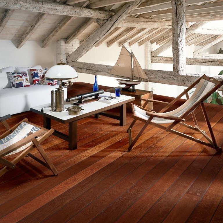 дуб аруба. коричник камфорный. комфортный дерева. комфортный дерева. домик на дереве внутри.